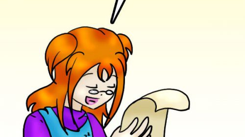 ‘De strip van Kim Houtzager’