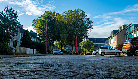 ‘De Korenbloemstraat’