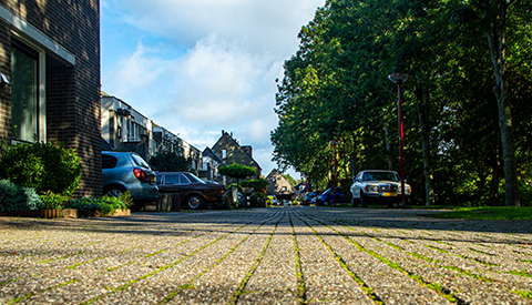 ‘De Koriandergaarde’