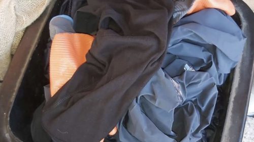 Update: Herteweide weer vrijgegeven voor de bewoners