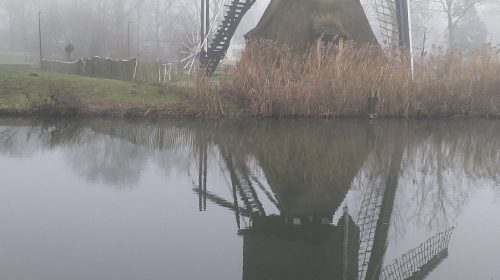 ‘Foto van de week’