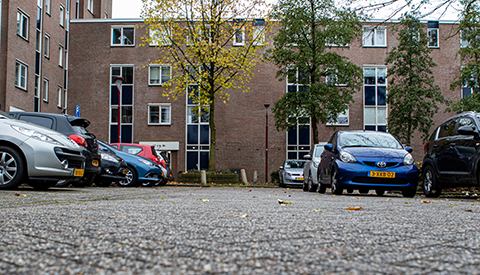 ‘De Kribbemonde’