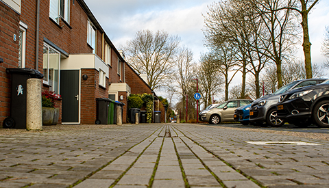 ‘De Kruisbesgaarde’