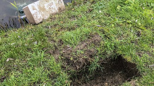 ‘Foto van de week’