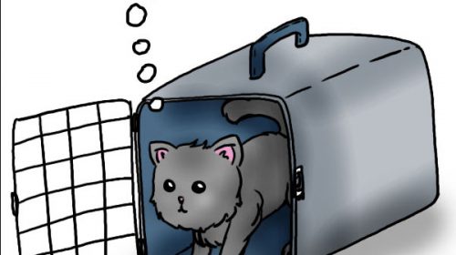 ‘De strip van Kim houtzager’