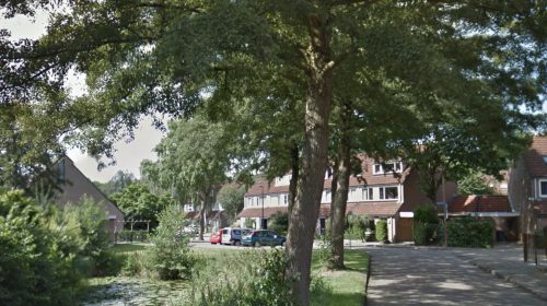 Inloopavond over bomen in De Doorslag