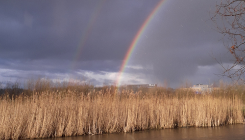‘Foto van de week’