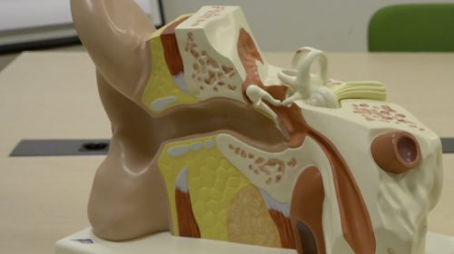 Nieuw initiatief in Buurtplein Zuid in teken van ‘Horen’