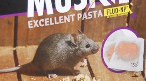 Rattenoverlast verdubbeld in Nieuwegein