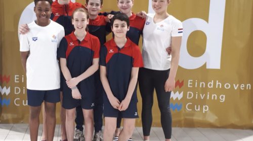 Goud en Brons voor Aquarijn tijdens de Eindhoven Diving Cup