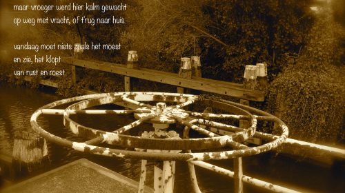 Ton’s beeldverslag