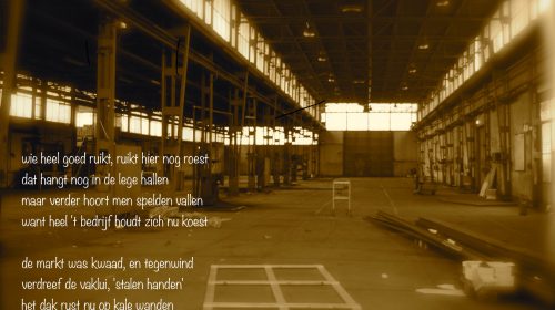 Ton’s beeldverslag