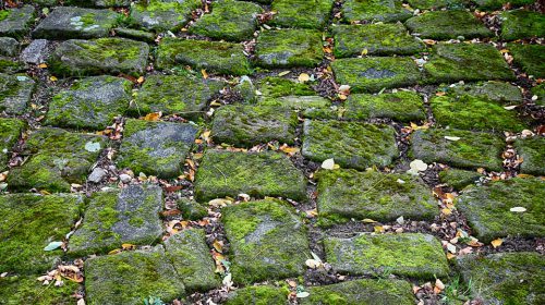 Hoeveel kost het opknappen van een tuin?