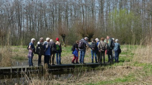 IVN organiseert een lentewandeling door Over-Heicop