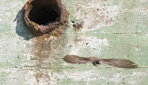 ‘Foto van de week’