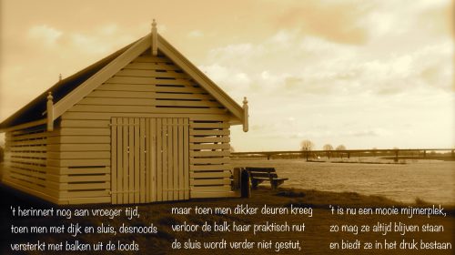 Ton’s beeldverslag