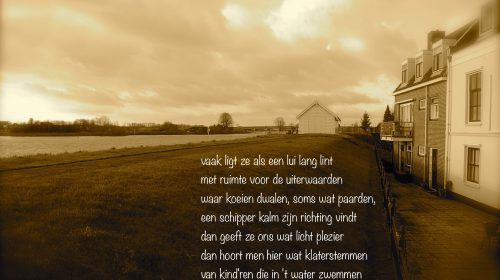 Ton’s beeldverslag