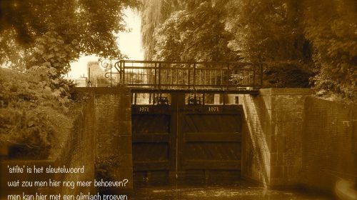 Ton’s beeldverslag