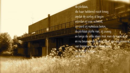 Ton’s beeldverslag