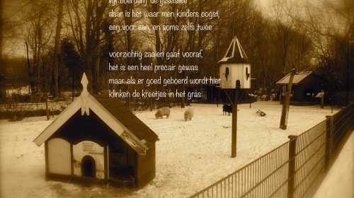 Ton’s beeldverslag