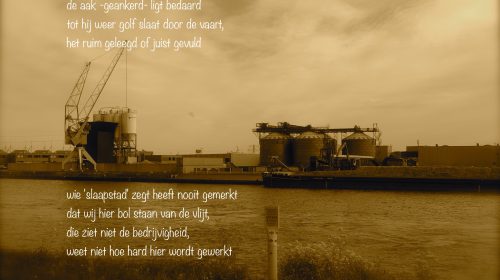 Ton’s beeldverslag