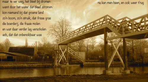 Ton’s beeldverslag