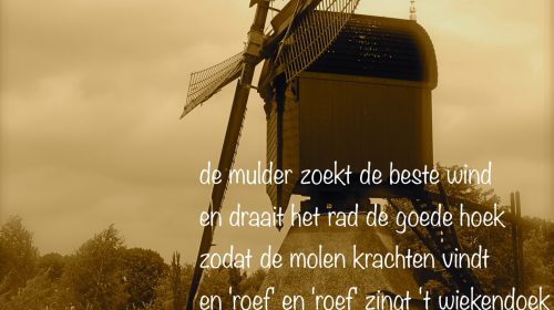 Ton’s beeldverslag