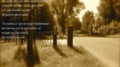 Ton’s beeldverslag