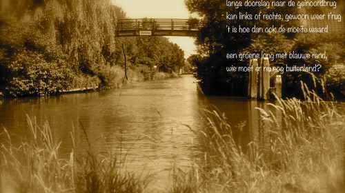 Ton’s beeldverslag