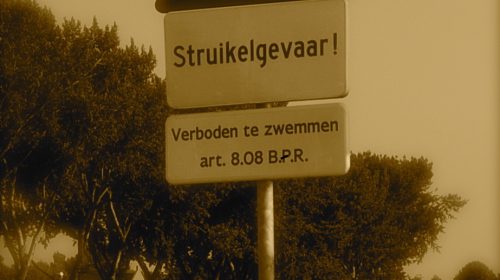 Ton’s beeldverslag