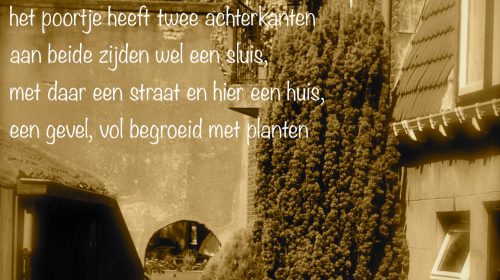 Ton’s beeldverslag