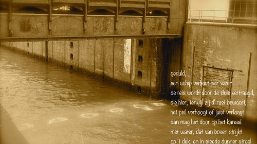 Ton’s beeldverslag