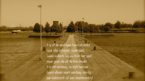 Ton’s beeldverslag