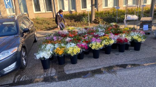 Bloemen voor oudere huurders van Portaal in Nieuwegein