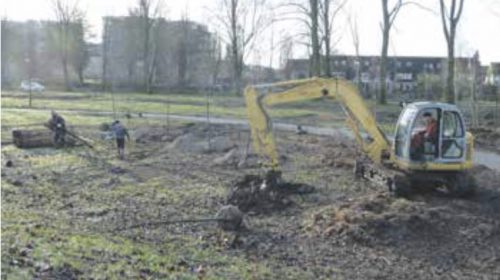 Nieuwe soorten bomen maken het groen gezonder