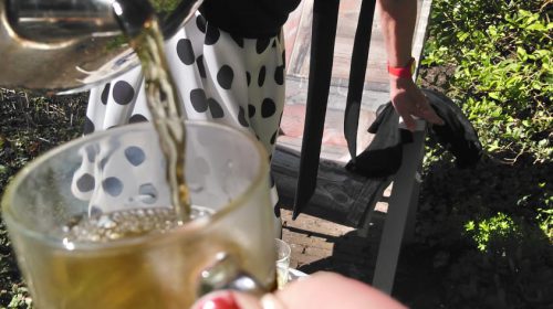 Column Willeke Stadtman: ‘In tijden van Corona (8)’
