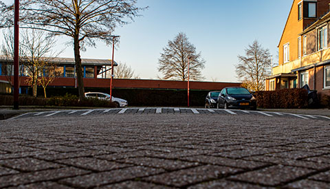 ‘De Pieter van Laerhage’