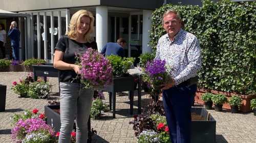 Sierteelt en ANBO schenken tuinplanten aan oa Zorgspectrum