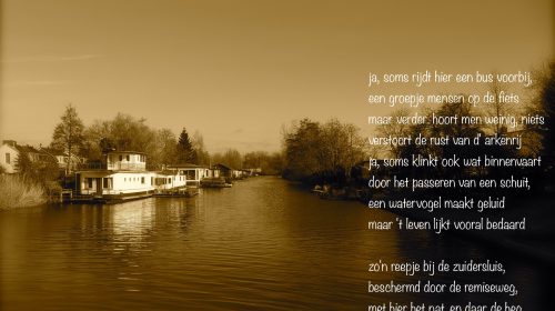 Ton’s beeldverslag