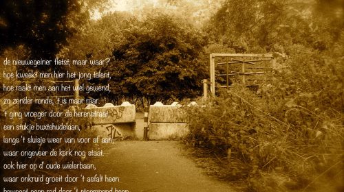 Ton’s beeldverslag