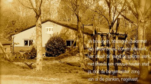 Ton’s beeldverslag