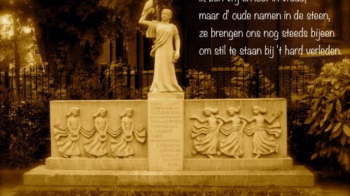 Ton’s beeldverslag