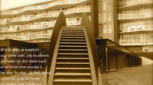 Ton’s beeldverslag