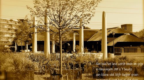 Ton’s beeldverslag