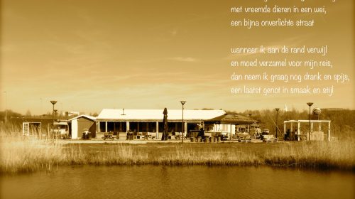 Ton’s beeldverslag