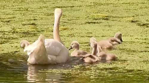 Langzaam komt alles weer op gang in de diverse katernen