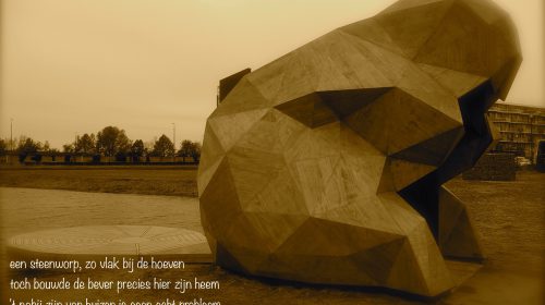 Ton’s beeldverslag