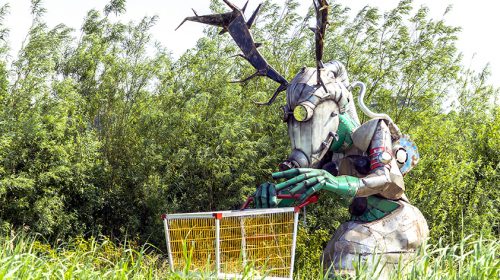 ‘Foto van de week’