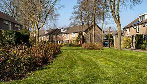 ‘De Lavendelhof’