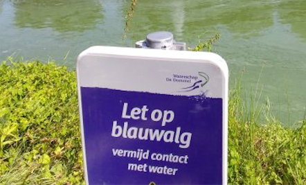 Blauwalg langs het Meikeverpad, de Vosseweide en Reinesteijnseweg